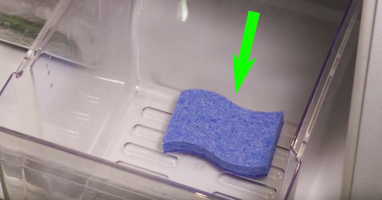 Einen Schwamm in den Kühlschrank legen – der Grund für diese Aktion wird Sie überraschen! ➤ Buzzday.info