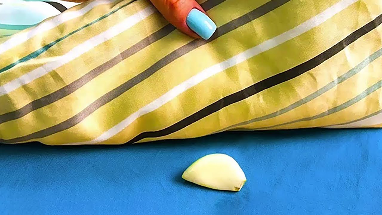 É por isso que deve dormir com um dente de alho debaixo da almofada ➤ Buzzday.info