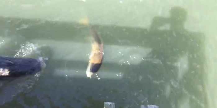 Un cocodrilo roba un pescado a un joven pescador ➤ Buzzday.info