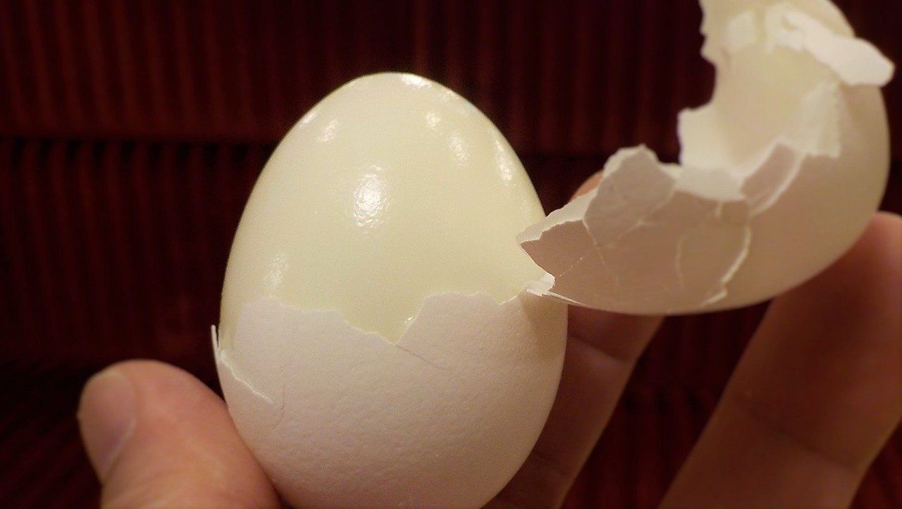 El secreto viral para pelar un huevo duro en un segundo (y no tienes que meterlo en hielo ni soplar para hacerlo) ➤ Buzzday.info