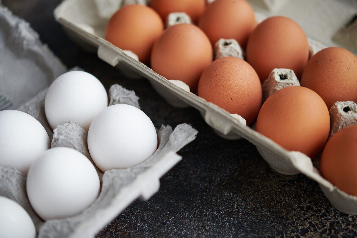 Mi a különbség a barna és a fehér tojás között? ➤ Buzzday.info