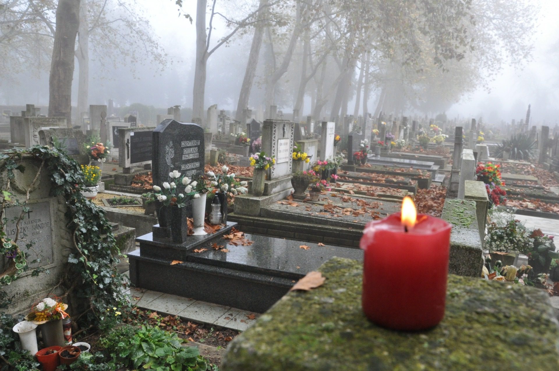 Miért tilos fotózni a temetőkben? ➤ Buzzday.info