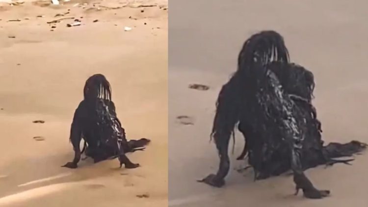 ¡No todo es lo que parece! Toda la verdad sobre la extraña figura que apareció en la playa