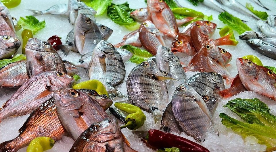 Versteckte Gefahr: Die gefährlichsten Fische auf dem Teller