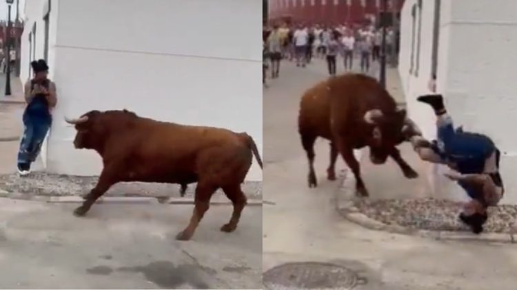 Vídeo que capta el momento en que un toro ataca a una mujer