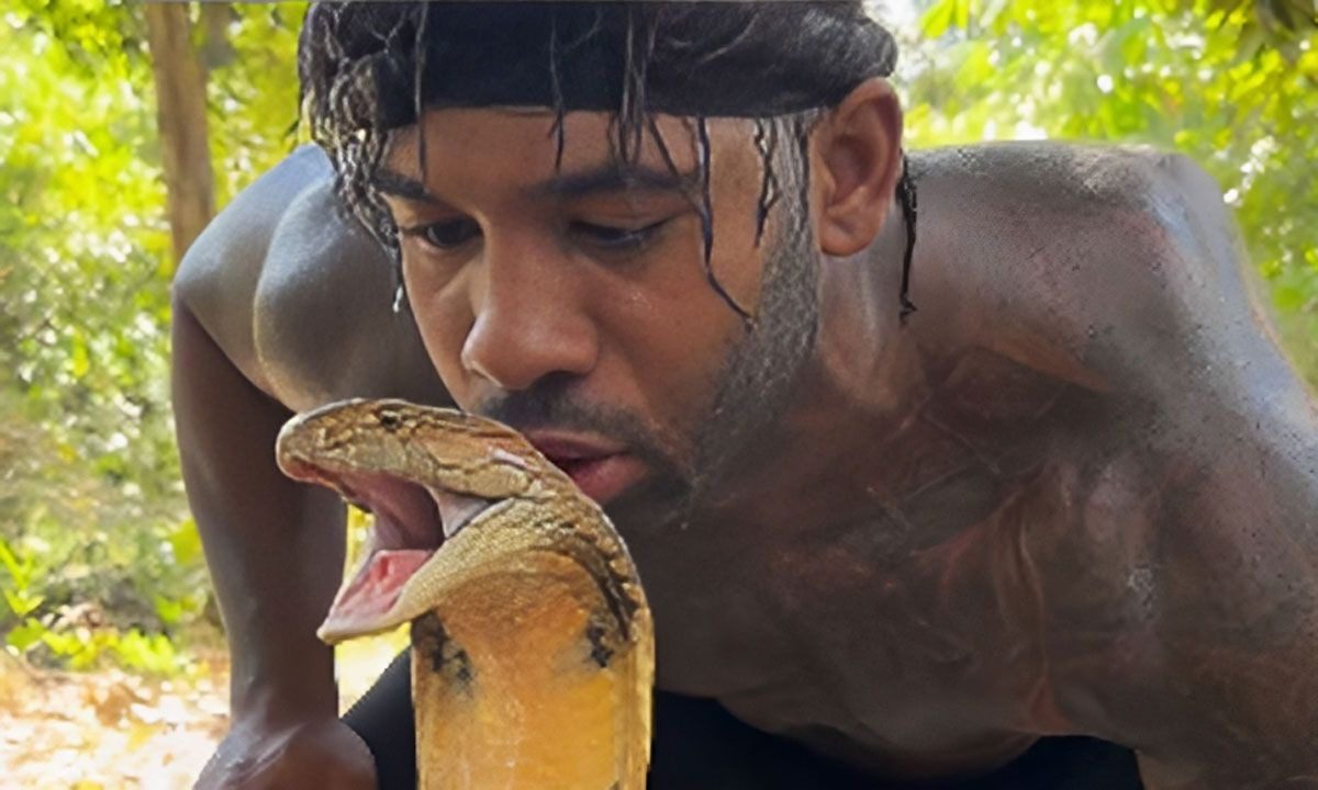 Um homem beija uma cobra mortal na cabeça, deixando os internautas loucos ➤ Buzzday.info