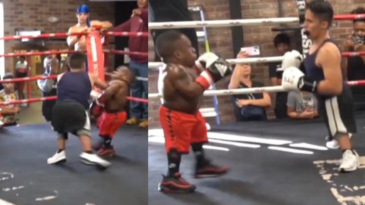 Entrenamiento fácil: la pelea de boxeadores enanos se hizo viral ➤ Buzzday.info