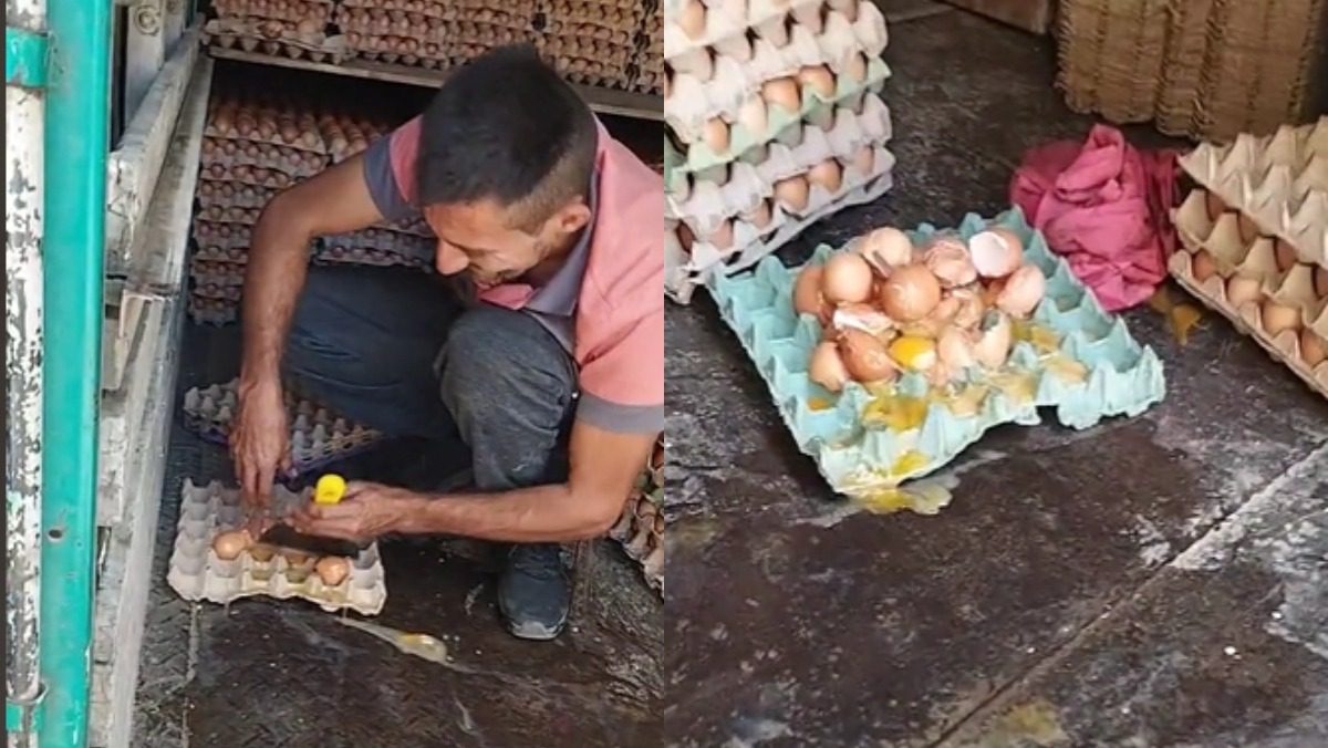 Hombre transportando huevos acaba con una tortilla en su camión ➤ Buzzday.info