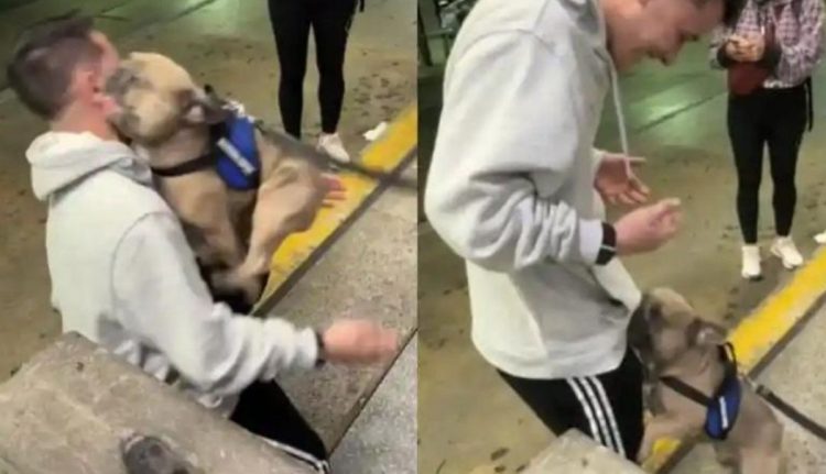 No pasa nada por llorar. Fue un emotivo reencuentro entre un perro y su dueño tras siete meses separados