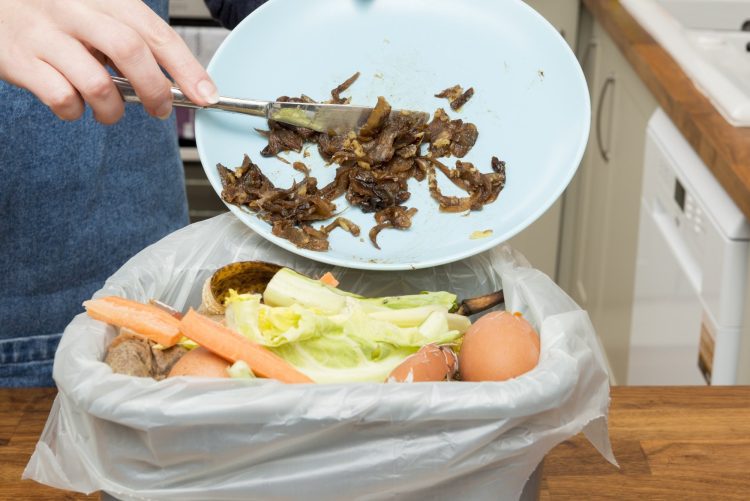 Todos os restos de comida podem ser guardados no frigorífico?