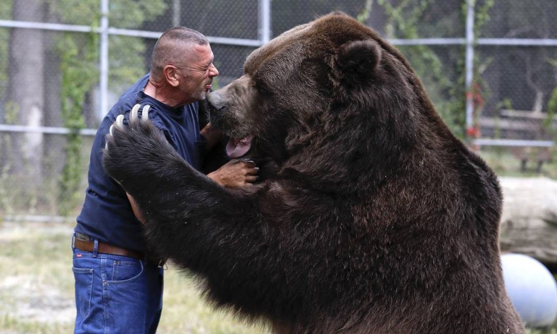 Um homem vivia com um urso e isto foi o que lhe aconteceu ➤ Buzzday.info