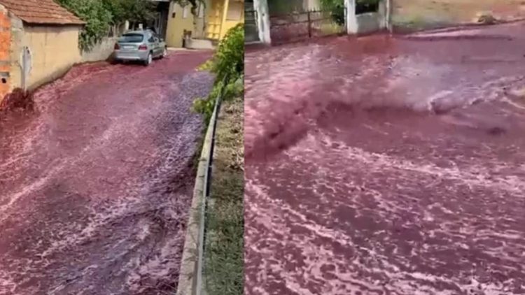 As ruas da cidade ficam inundadas de vinho e o vídeo se torna viral