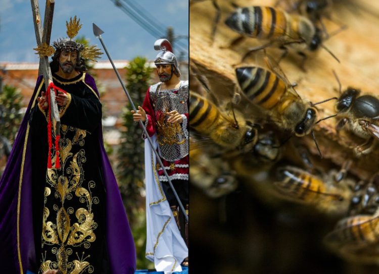 Un video capturó el momento en que las abejas atacaron a los fieles durante el ritual del Vía Crucis de la Semana Santa