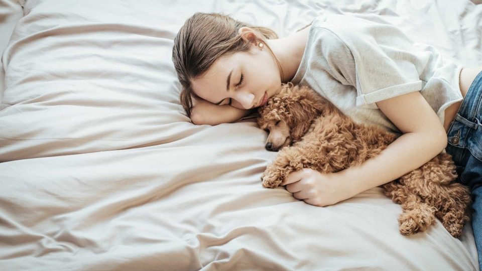 O que acontece quando dorme com o seu cão ou gato