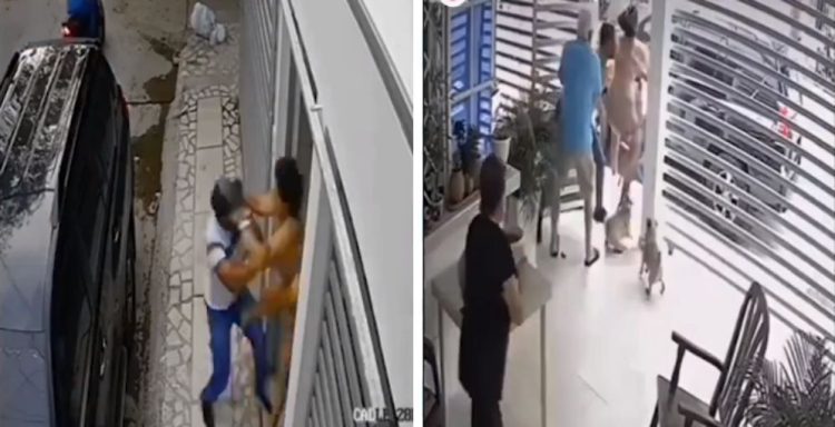 Vídeo: Una madre impidió que robaran a su hijo pateando al ladrón desde el suelo