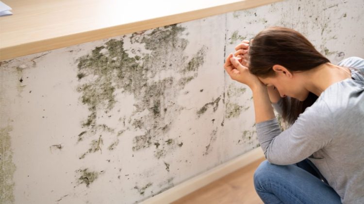 Existe mofo na sua casa? Descubra o que pode acontecer com seu corpo