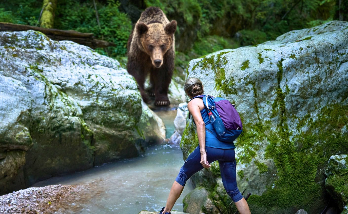 A mulher seguiu o urso até à floresta, e foi isto que aconteceu