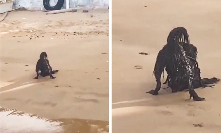 Sokkolta a mentőket a magyarországi strandon tett felfedezés ➤ Buzzday.info