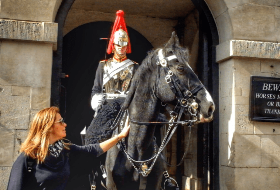 VÍDEO: Turista ignora aviso e é mordida por cavalo da guarda de Londres