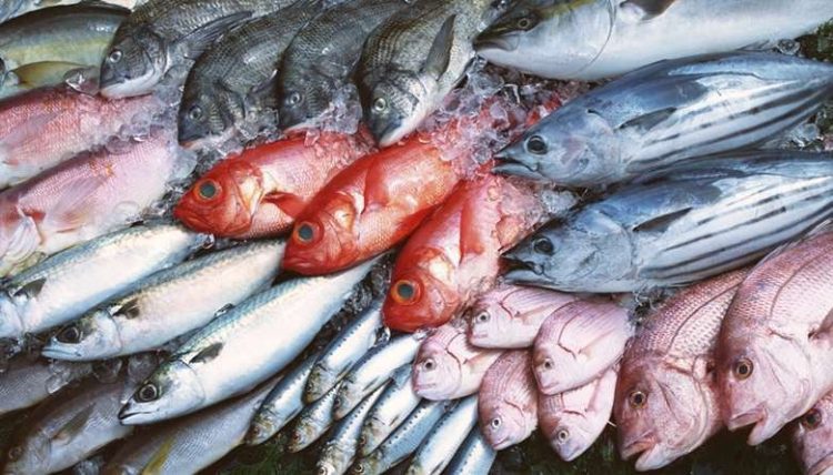 Ni el atún ni la merluza: está cardióloga explica el mejor pescado para el corazón (y se consume mucho en España)