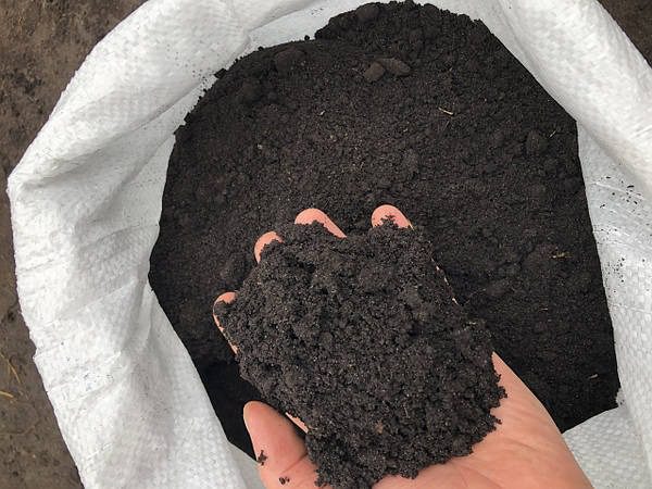 Miért dobál piszkot a koporsóra a temetésen: a válasz