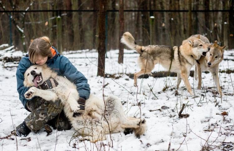 Daniella siguió a un lobo hasta el bosque. ¡Lo que encontró cambió su vida! ➤ Buzzday.info