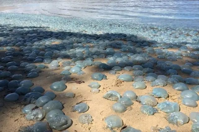 El misterio de la playa es verdaderamente asombroso