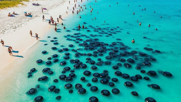 El misterio de la playa es verdaderamente asombroso