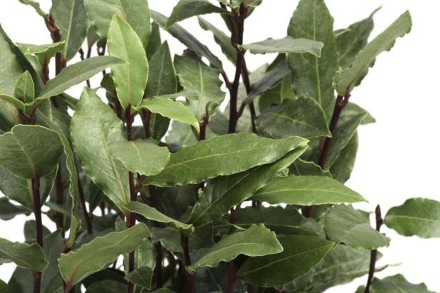 Bebe una infusión de laurel por la noche: notarás el efecto al instante