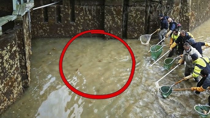 Als der berühmte Pariser Canal Saint-Martin trockengelegt wurde, erfuhr die Welt von den erstaunlichen Geheimnissen, die unter dem Wasser verborgen lagen ➤ Buzzday.info