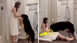 妻が犬と一緒にバスルームに閉じ込められる