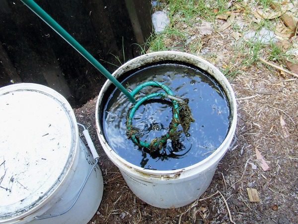 Mi történik, ha zselatint ültetünk a kertben? ➤ Buzzday.info