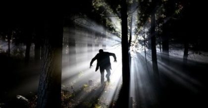 Никой не си е представял опасността, дебнеща в гората… докато не се е опитал да вземе котенце.