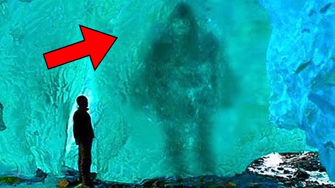 極寒の氷山から現れた「漆黒の影」…極地で眠っていた驚愕の正体 ➤ Buzzday.info