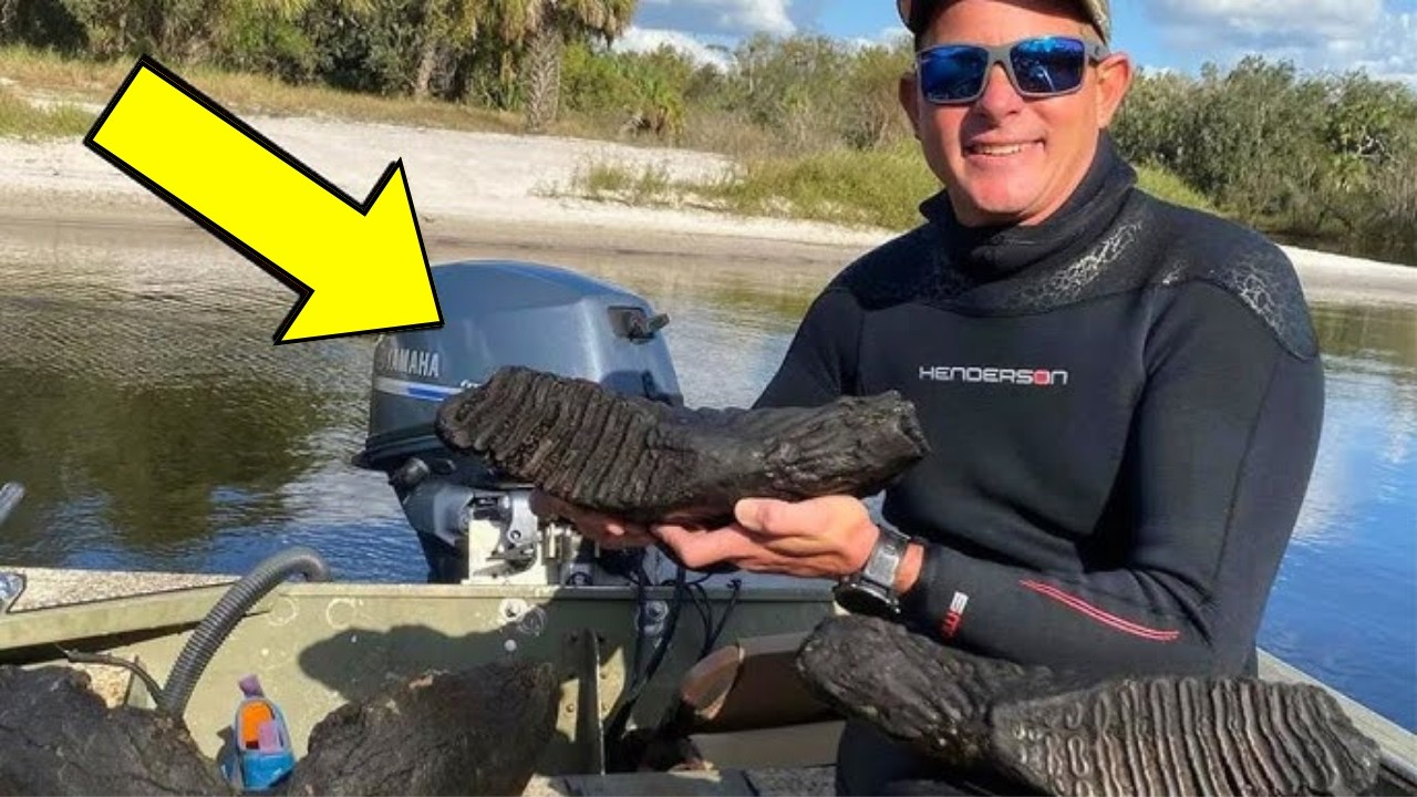 Mergulhador da Flórida pensou ter encontrado um tronco de árvore antigo, mas empalidece ao descobrir o que era ➤ Buzzday.info