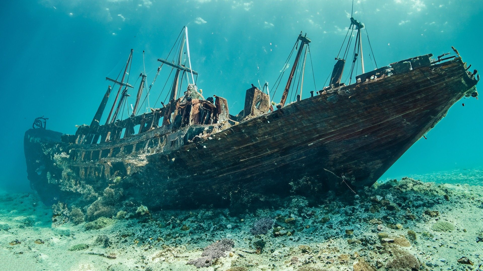 2500年前の船がそのまま…黒海の闇に眠る「呪われた完璧な沈没船」の謎 ➤ Buzzday.info