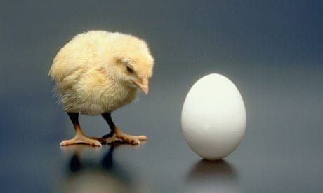 ¿Qué fue primero: el huevo o la gallina? Los científicos por fin han zanjado el debate ➤ Buzzday.info