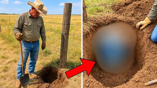 Ein Rancher stieß beim Zaunbau auf Metall – sein Bauchgefühl sagte ihm, er solle weitergraben ➤ Buzzday.info